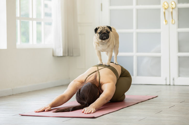 APRENDE CÓMO EJERCITARTE JUNTO A TU MASCOTA