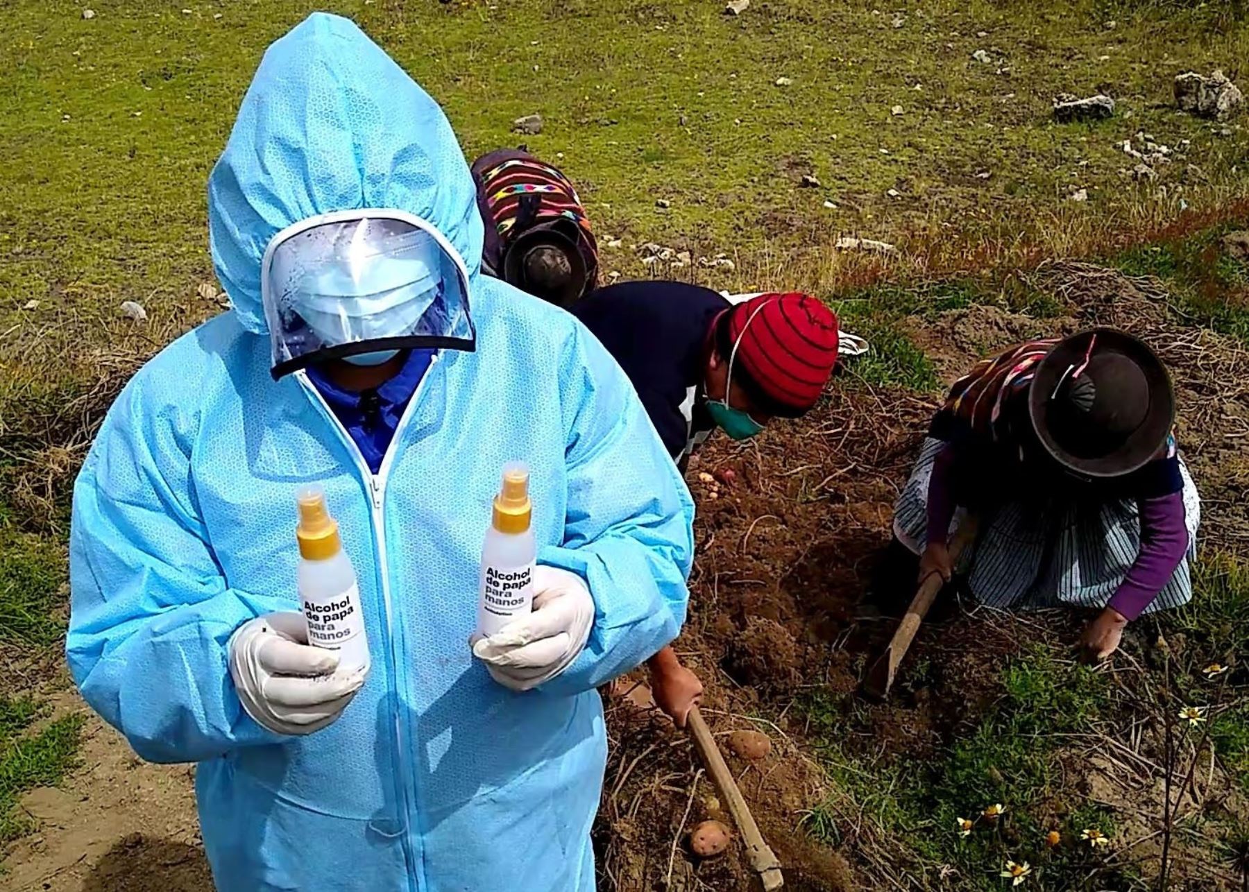 Ingenio peruano: elaboran alcohol antiséptico a base de papa nativa de Huancavelica