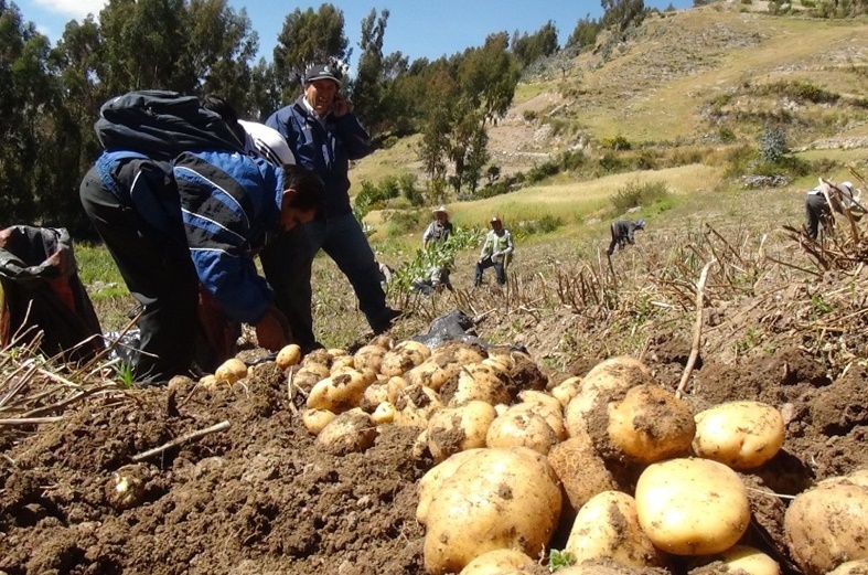 Conoce cómo MINAGRI financia la siembra y cosecha de agua en el ande