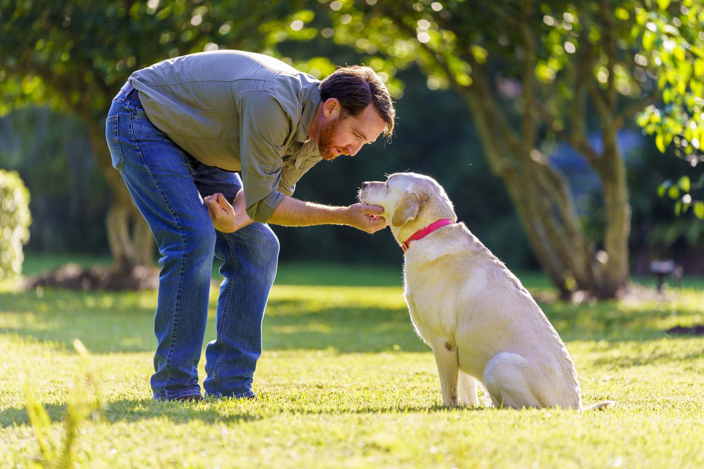 DÍA DEL PERRO: 5 CONSEJOS PARA CUIDAR A TU PELUDO