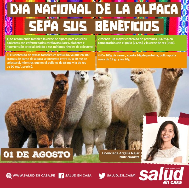 Carnes de llama y alpaca, opciones saludables contra la obesidad e hipertensión arterial