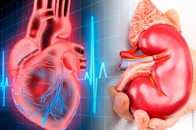 Conocer el perfil ABCDE permitirá la identificación del nivel de riesgo y el diagnóstico oportuno de enfermedades cardiacas, renales y metabólicas