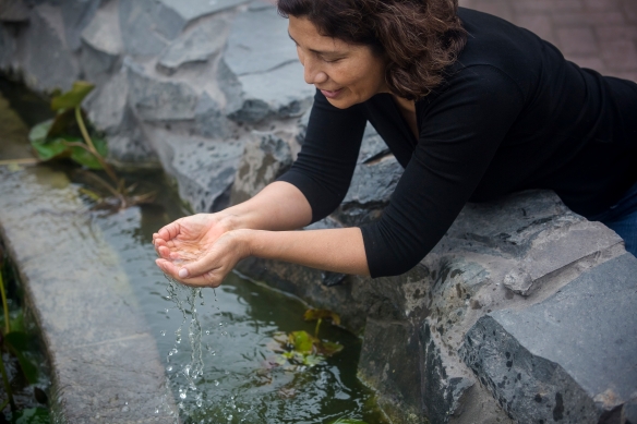 Siete consejos para cuidar y preservar el agua en los hogares