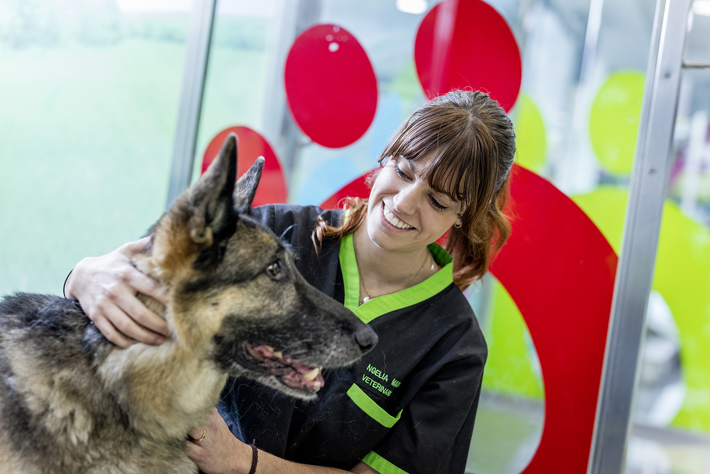 Día Mundial del Veterinario: cinco consejos para elegir al mejor especialista para tu mascota