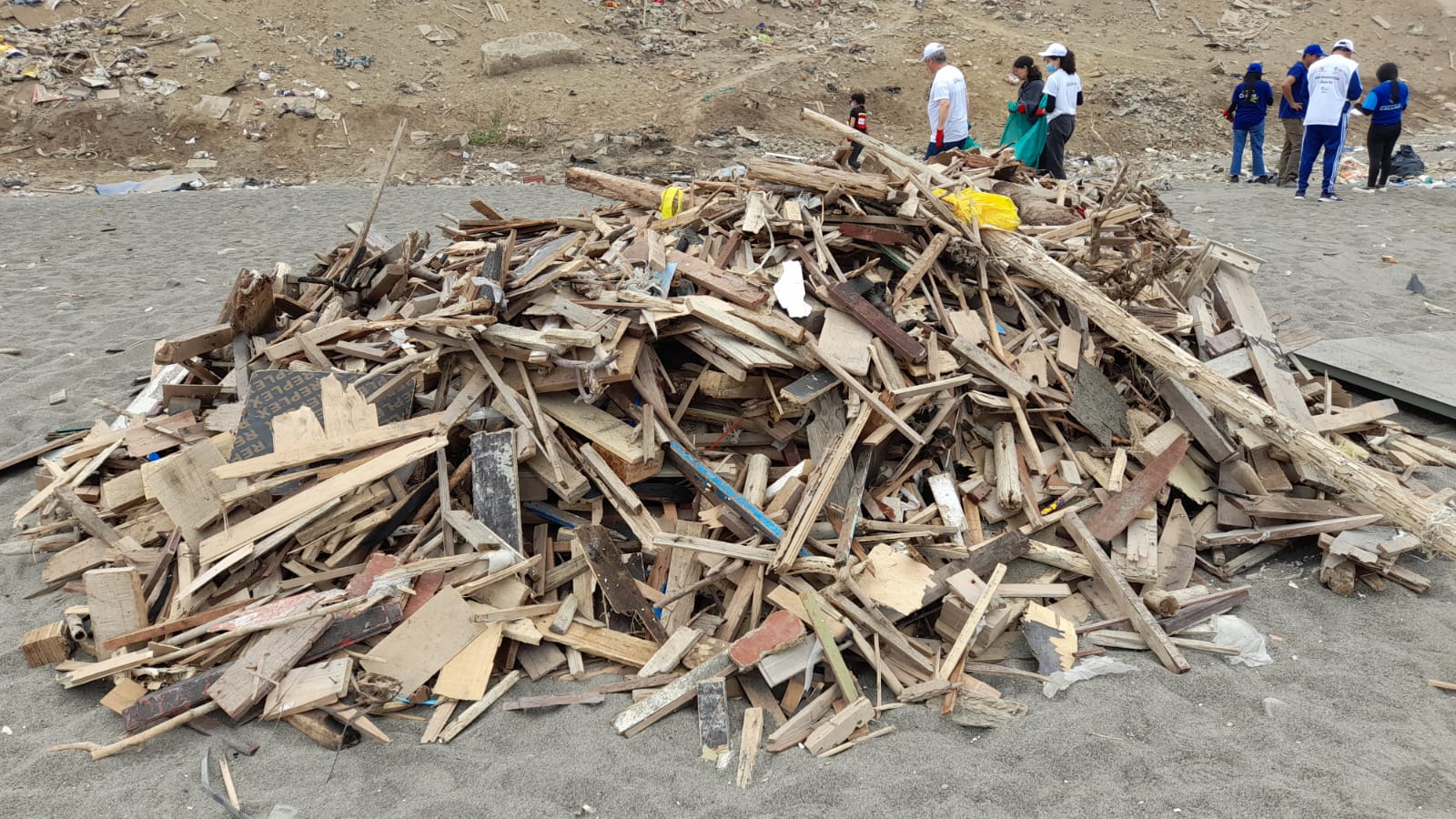 Se recogieron mas de 30 toneladas de basura marina en la Playa Márquez en el Callao, luego de una ardua limpieza de voluntarios .