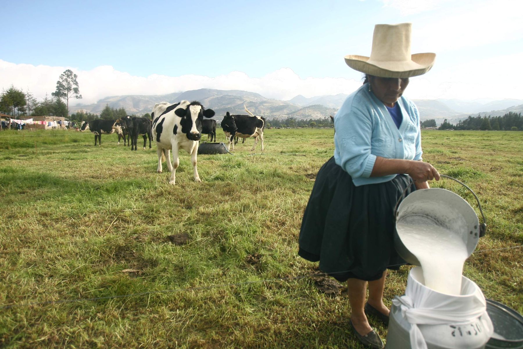 La leche es un alimento completo que aporta proteínas de alto valor biológico.