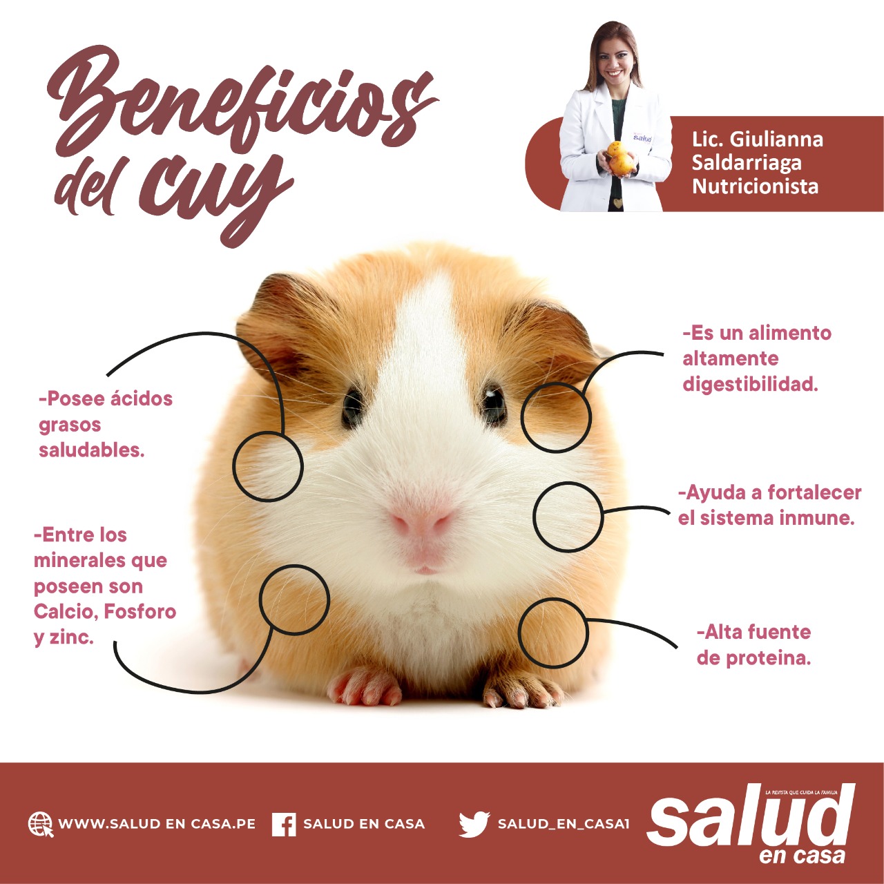 La carne de cuy es esencial para combatir el cáncer y enfermedades cardiovasculares