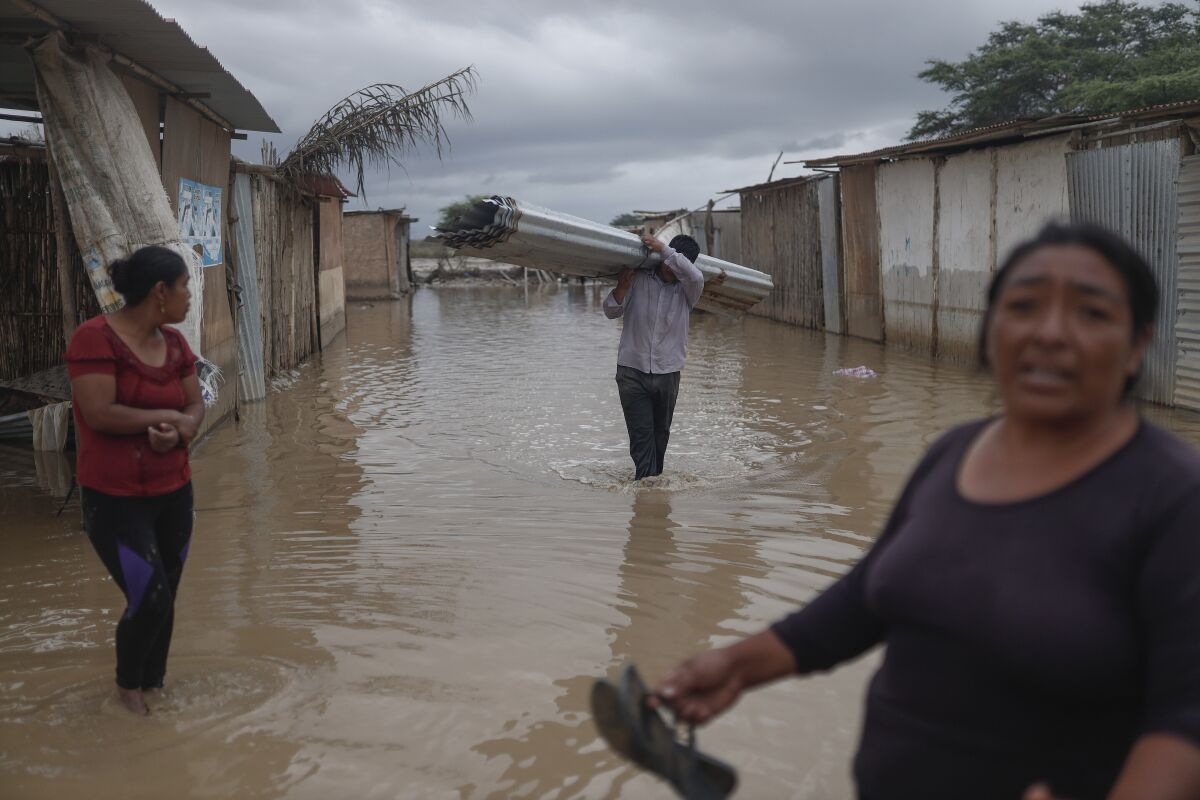 Leptospirosis, enfermedad infecciosa de las inundaciones