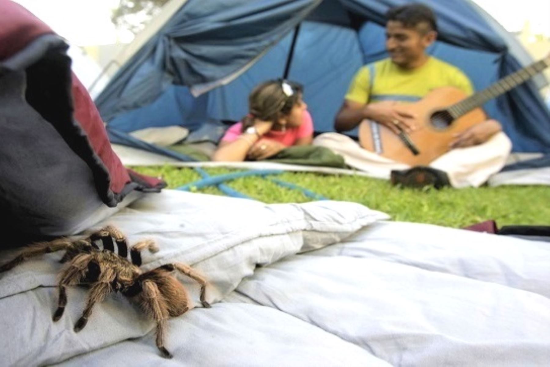 Fiestas Patrias: Minsa recomienda no acampar cerca de cuevas o formaciones rocosas