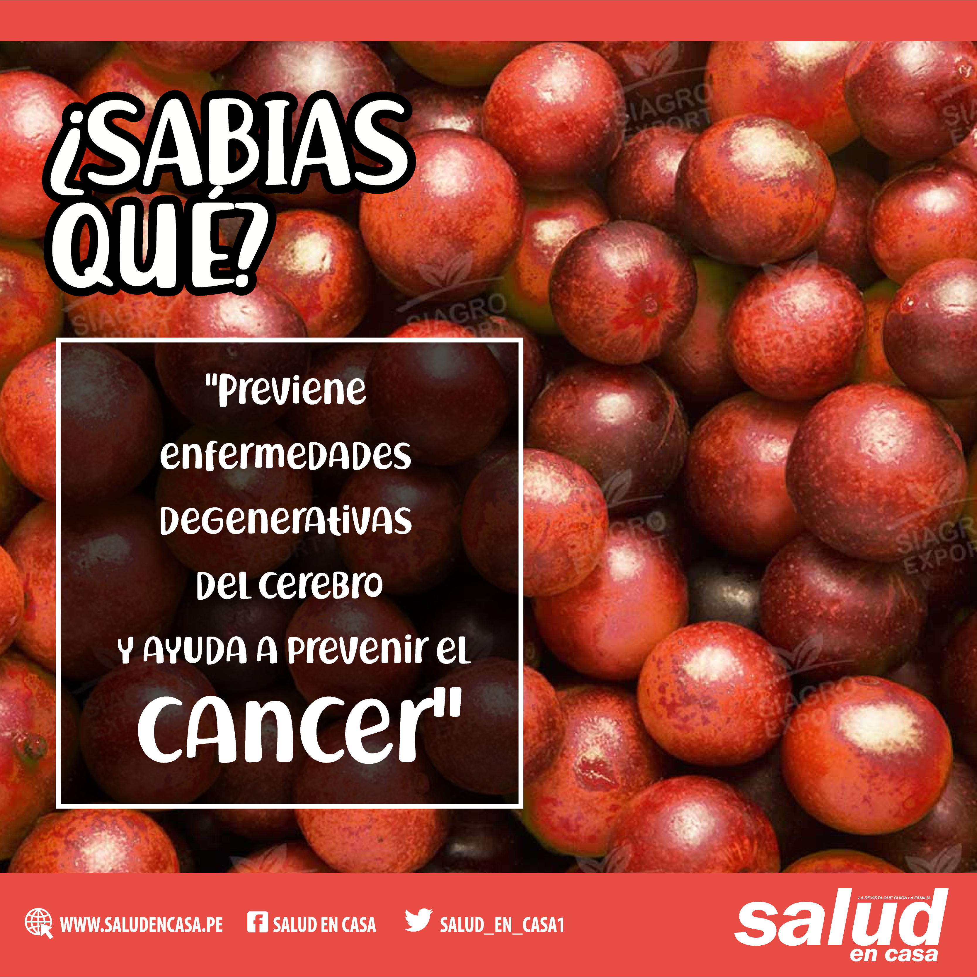 BENEFICIOS QUE DESCONOCÍAN DEL CAMU CAMU