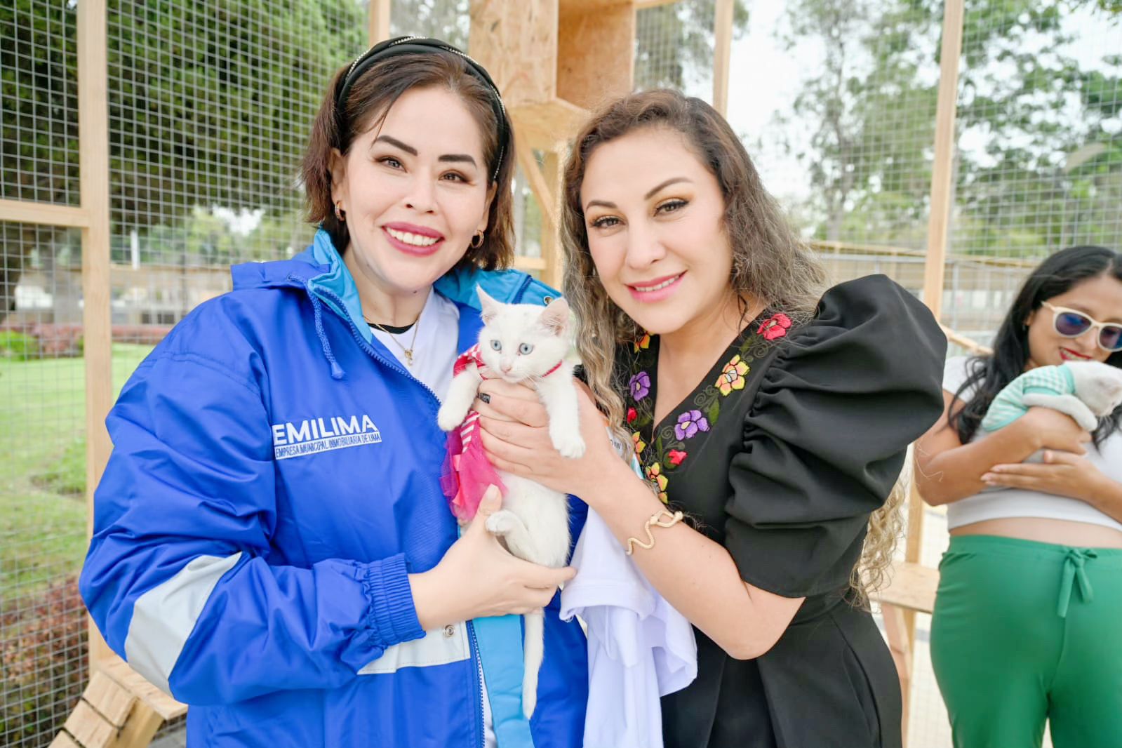 GATOTÓN 2024: LA FERIA DE ADOPCIÓN DE GATOS MÁS GRANDE DE LIMA LLEGA AL PARQUE DE LA EXPOSICIÓN