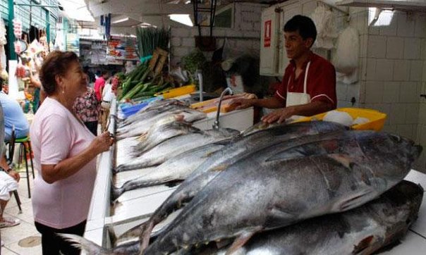 SEMANA SANTA: CONOCE LOS BENEFICIOS DEL PESCADO Y SEPA COMO RECONOCER UN BUEN PESCADO