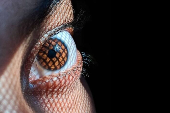 Más de 400 millones de personas padecen diabetes: la importancia del diagnóstico y tratamiento del Edema Macular Diabético (EMD)