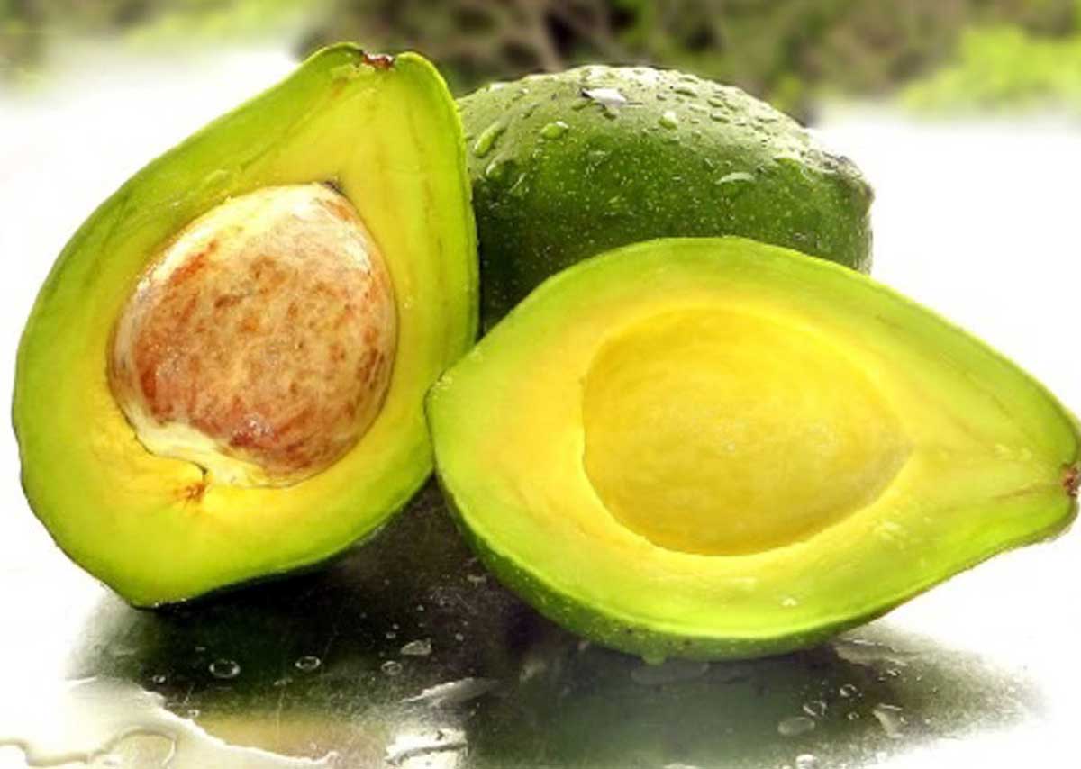 BENEFICIOS DE LA PALTA