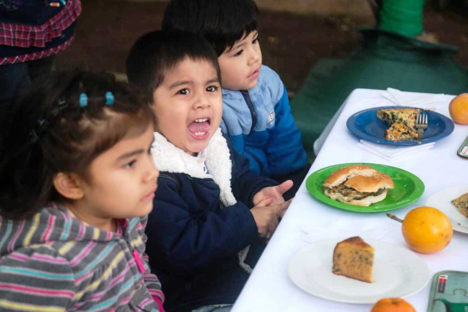 Siete alternativas de loncheras antianemia que sus hijos pueden llevar al colegio