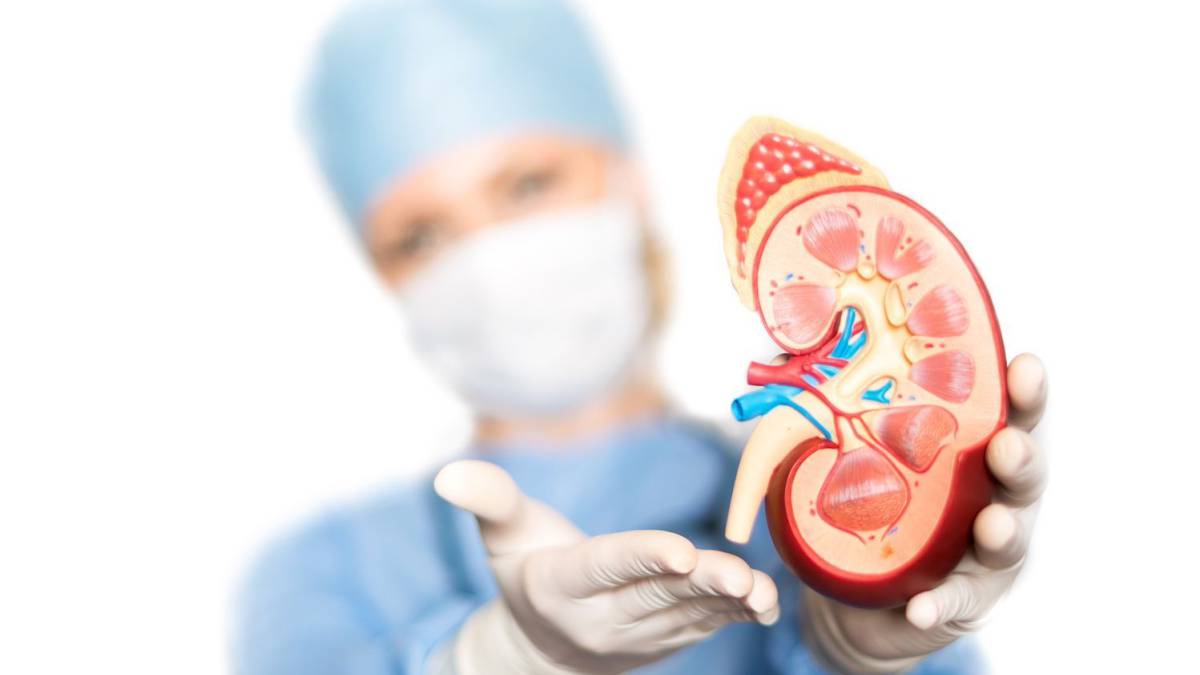 Enfermedad renal crónica: conoce la patología que afecta a más de 3 millones de peruanos