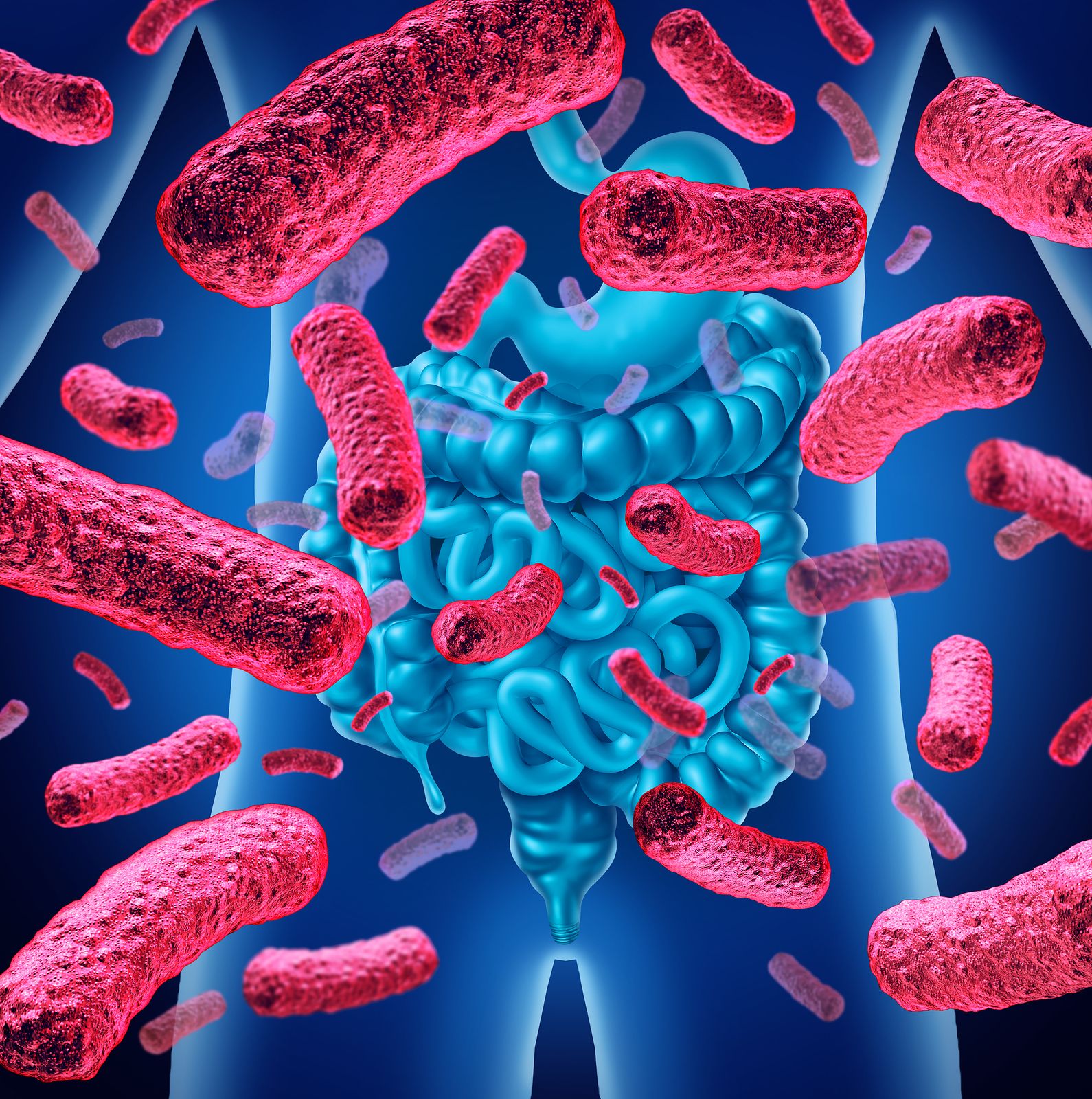 Microbiota intestinal: conozca por qué es tan importante para el organismo