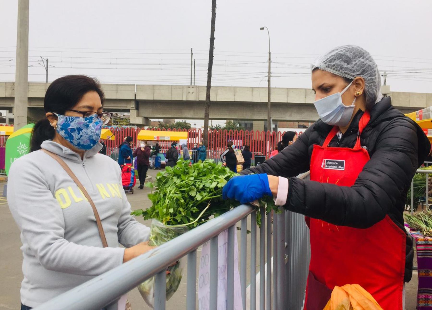 ¡Atención! Conoce en qué distritos de Lima estarán los mercados De la Chacra a la Olla